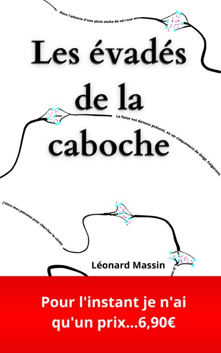 Les évadés de la caboche - Recueil de nouvelles par Léonard Massin